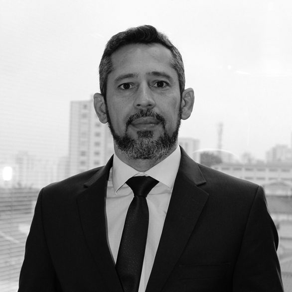 Alexandre Pires Martins Lopes